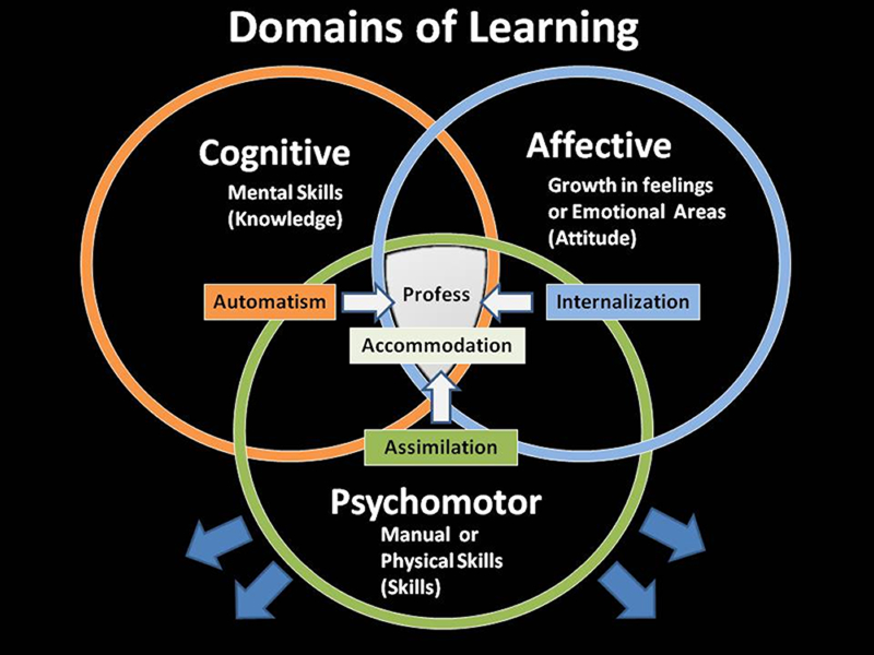 Domains Of Learning